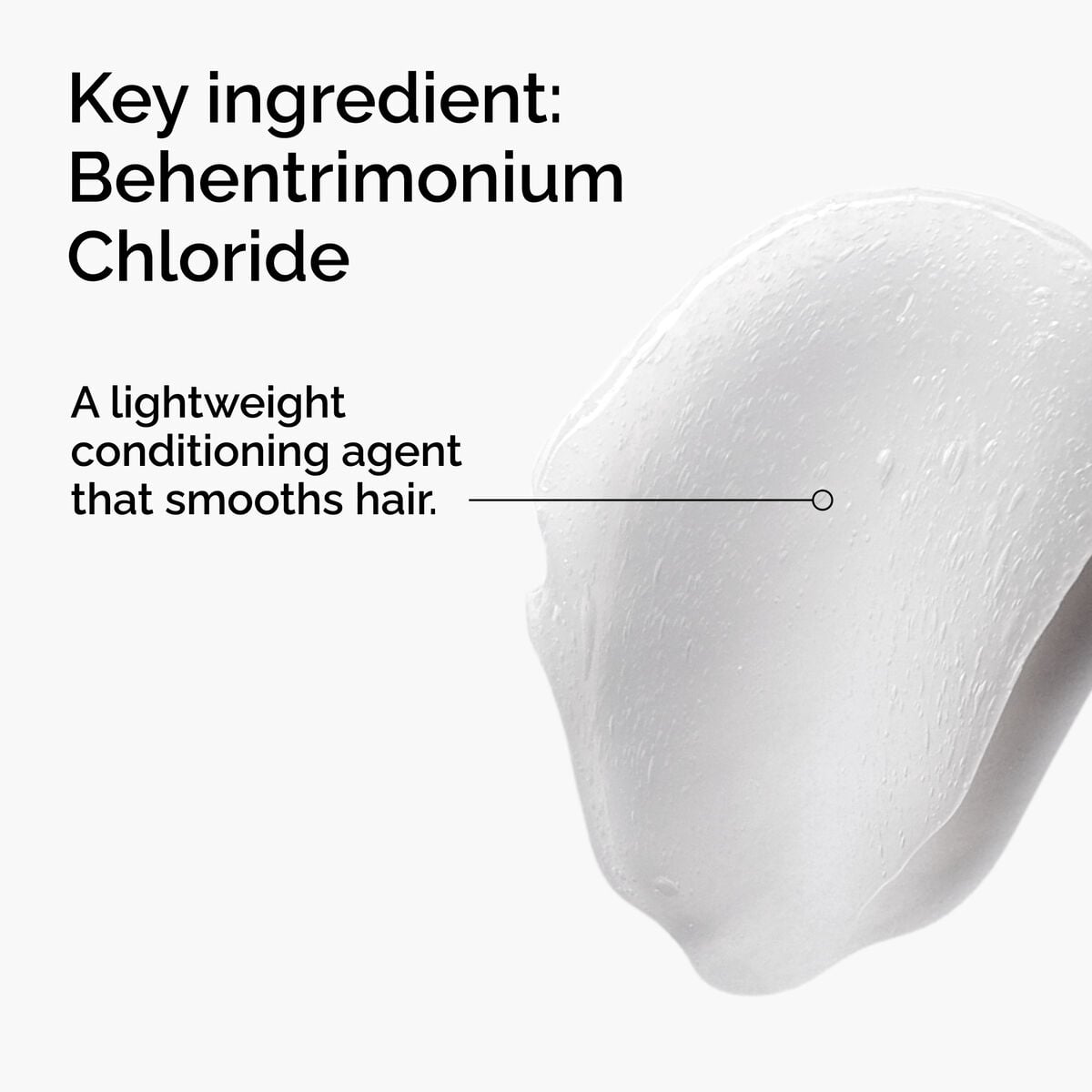 behentrimonium-chloride-2-conditioner-v8 FY25-D41247-ORD-Web-PDP-BTC-1x1-EN-2a.jpg