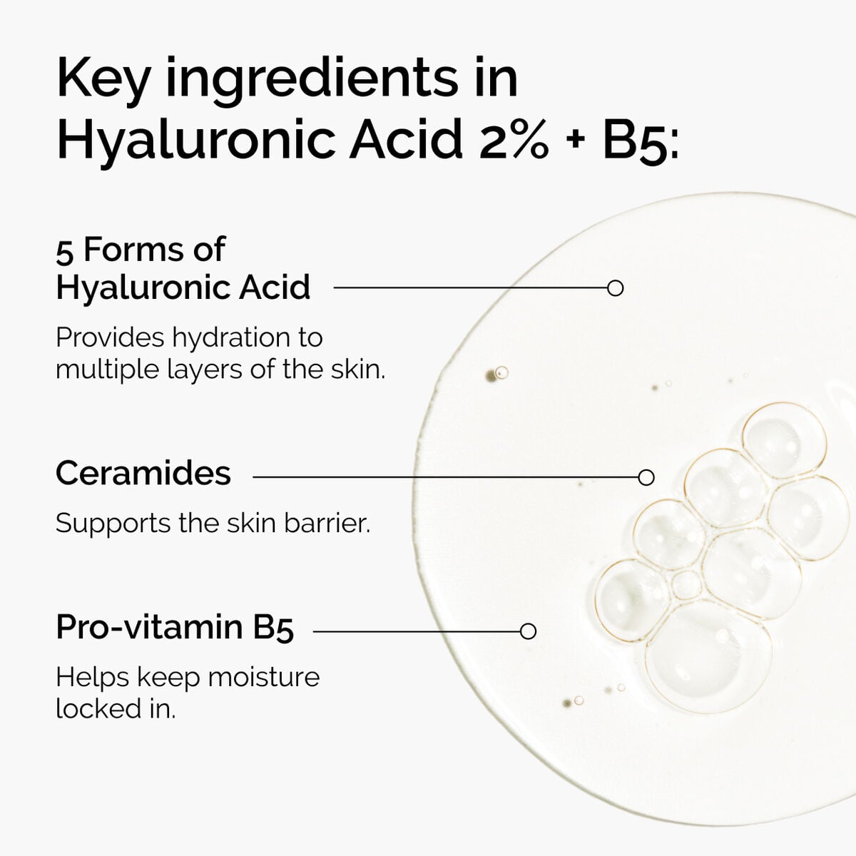 hyaluronic-acid-2-b5-with-ceramides-n5 ord-hyaluronic-acid-2pct-b5-hydrating-serum-ingredients-graphic.jpg